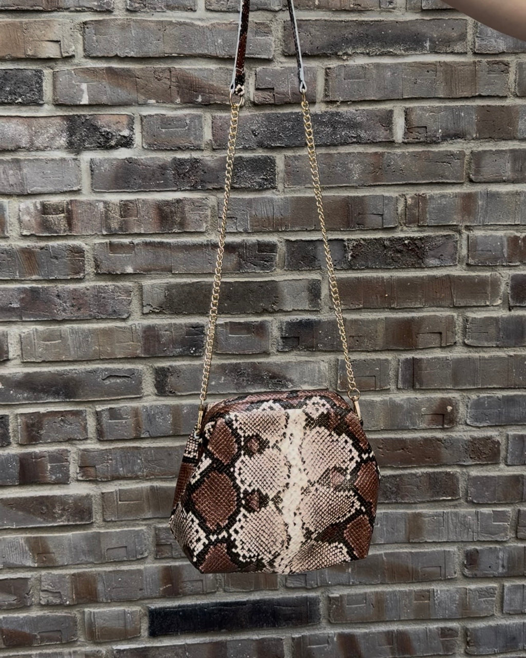 Snake Clutch Mini braun