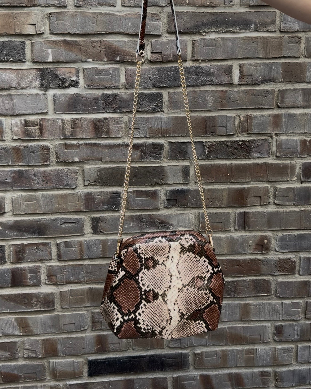 Snake Clutch Mini braun